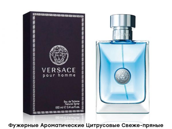 Versace Pour Homme Versace, Edt, 100 ml wholesale